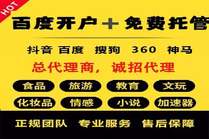 竞价托管SEM策略：提升网站流量与转化